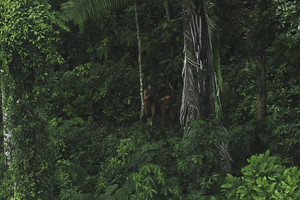 Indėnų genties išžudymas: į skerdynių vietą – 12 dienų valtimis
