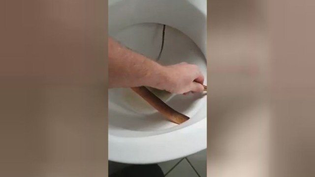 Neįtikėtinas radinys tualete šokiravo vyrą
