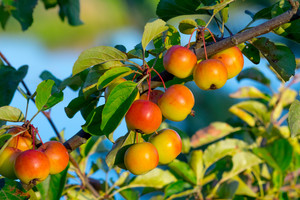 Sinoptikai pradžiugino: savaitės pabaigoje – vasariški orai