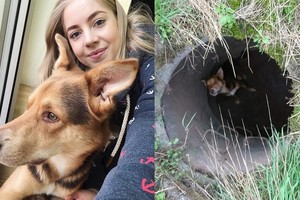 Tris savaites šulinyje tūnojęs šuo pagalbos prisišaukė per stebuklą