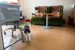 Sužinojus, kiek draugai Vilniuje išleidžia buto nuomai, vos neišniro žandikaulis