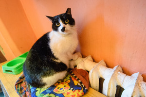 Seimas apsisprendė dėl 9 proc. PVM lengvatos šildymui