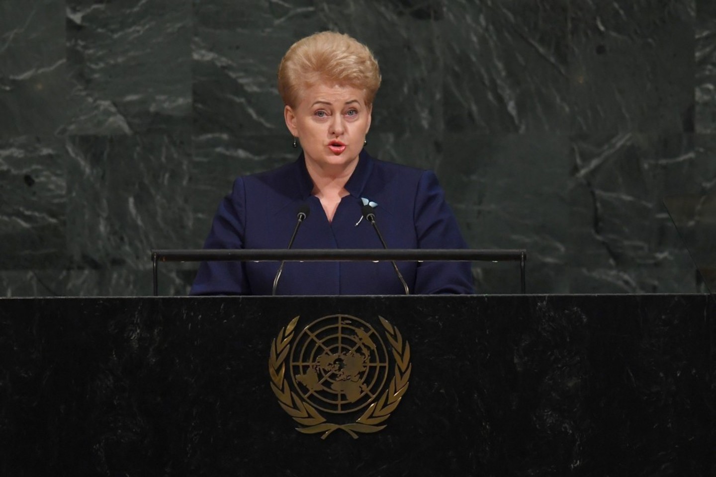 Rusijos delegacijos elgesys prieš Dalios Grybauskaitės kalbą tapo akibrokštu.<br> AFP/Scanpix nuotr.