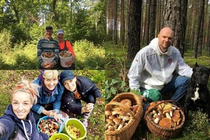 Lietuvos garsenybės prasitarė, kur daugiausia rado grybų