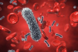 Riedame į katastrofą: su tokiu požiūriu duobę sau kasamės patys