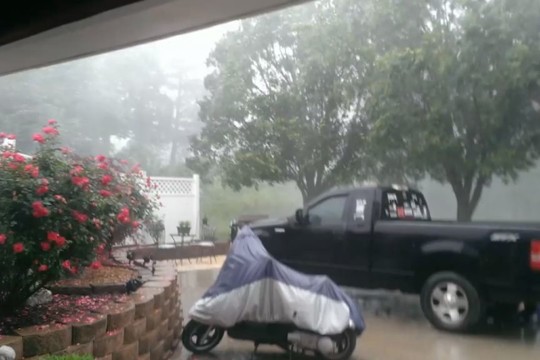 Vyrai negalėjo patikėti savo akimis, kas dėjosi lauke 