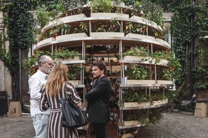  Daržas, kurį gali turėti  net daugiabučio gyventojai