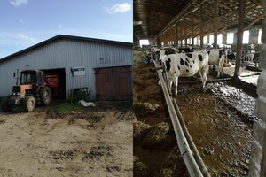 Moterį pribloškė gražiame dvare pamatytas vaizdas