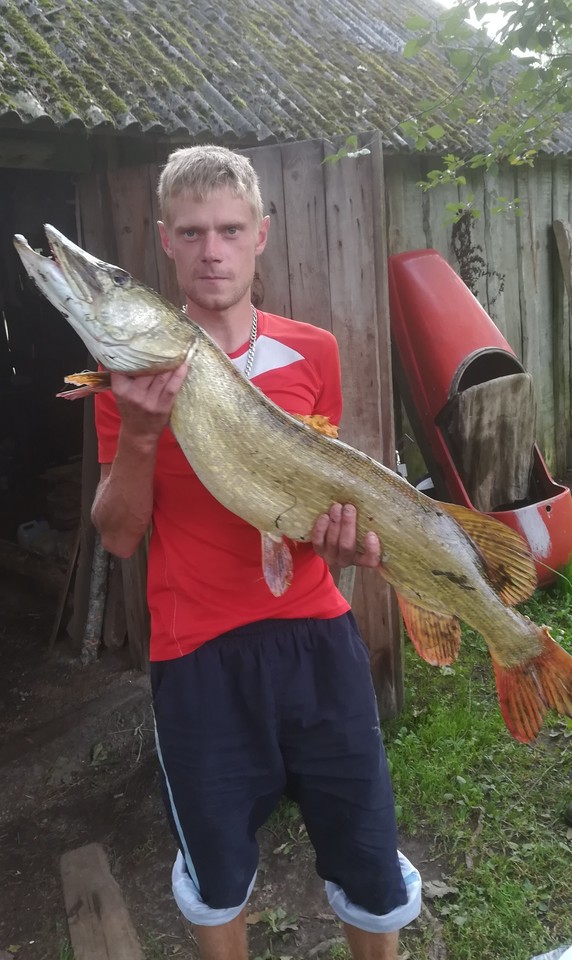 Molėtų rajono, Bekupės ežere, Aivaras Saveikis sugavo lydeką milžinę, kuri svėrė net 9,170 kg.<br> Skaitytojų nuotr.