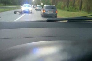 Vilniaus pakraštyje nedidelis autobusas susidūrė su briedžiu, susidarė spūstis