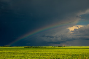 Ūkininkai siunta ant valdžios: „Kai tarnai valdžioje, matote, kas darosi“