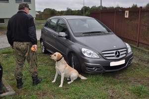 Lenkų pasieniečių tarnybinis šuo demaskavo lietuvį: į Ukrainą slėptuvėse gabeno 75 kg hašišo