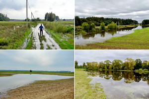 Panevėžio rajono žemdirbiams liūtys pridarė milžiniškų nuostolių