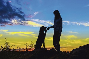 Po šeimininkų mirties – šiurpus ištikimų augintinių elgesys