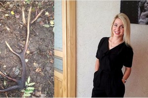 Ragų ieškotoja: miškas mane apdovanoja kasmet