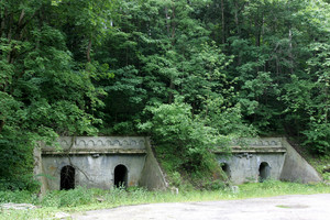 Kariniai pastatai – vertingas palikimas ar nuodai aplinkai?