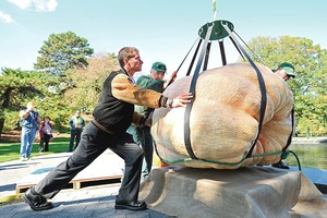 Daržininkų karštligė rudenį: augina sunkesnius nei 1000 kg moliūgus