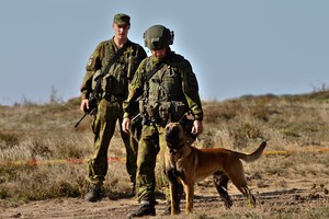 Kariuomenės šunims – išminuotojams didžiausias malonumas – sprogmenų paieška