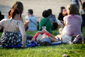 Ramūnas Karbauskis nepasiduoda: alkoholis dings ir iš paplūdimių