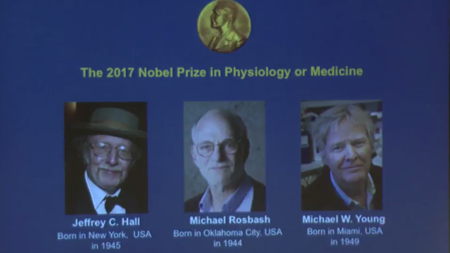 Trims molekulinius mechanizmus atradusiems amerikiečiams – Nobelio premija
