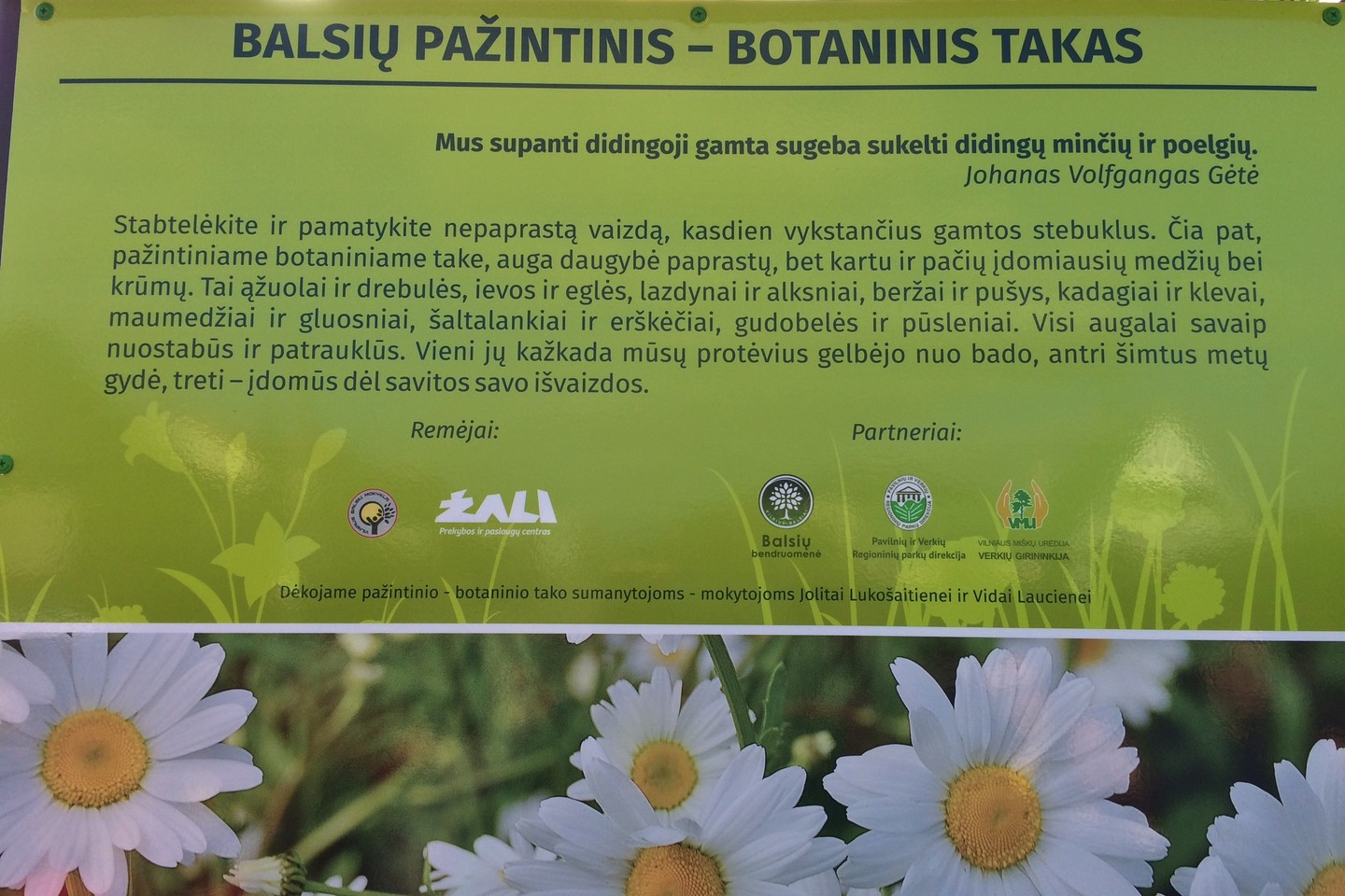  Vilniaus Balsių progimnazijos mokytojų ir administracijos iniciatyva puoselėta svajonė – „Pažintinis-botaninis takas“, tapo realybe.<br> M. Karanausko nuotr.