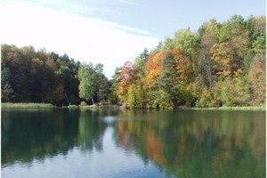 Balsių pažintinis – botaninis takas jau laukia lankytojų