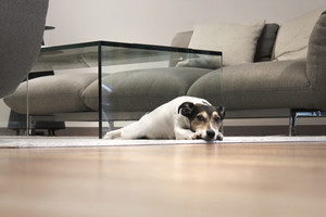 Interjerą tuose pačiuose namuose kūrė prieš penkiolika metų ir dabar