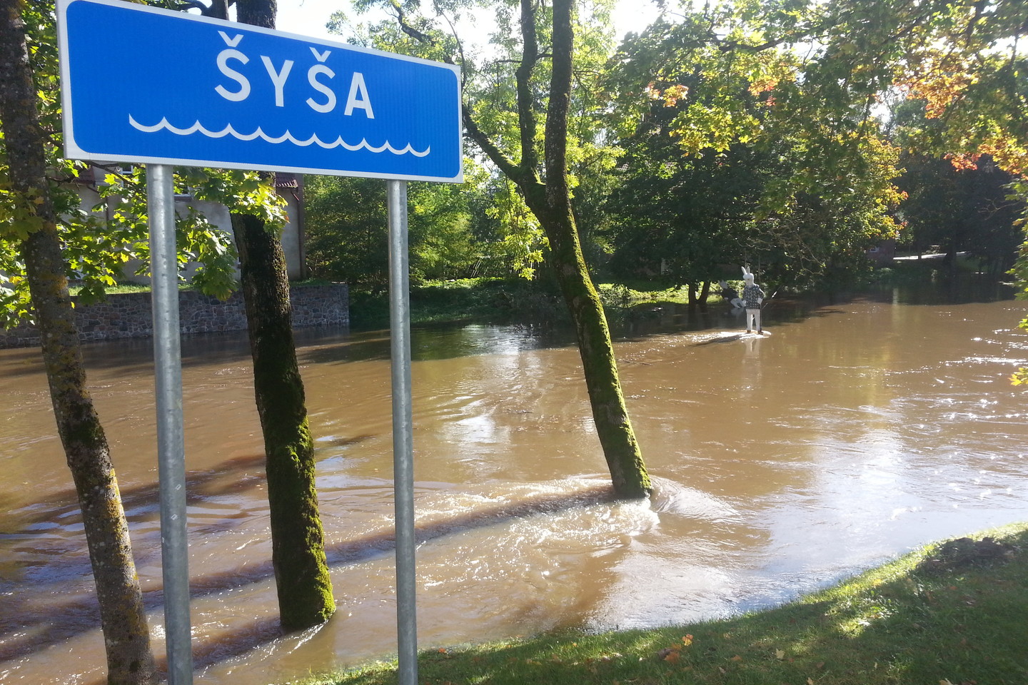 Šilutės rajone patvinusios upės jau semia namų rūsius, permirkusios ir aplietos pievos.