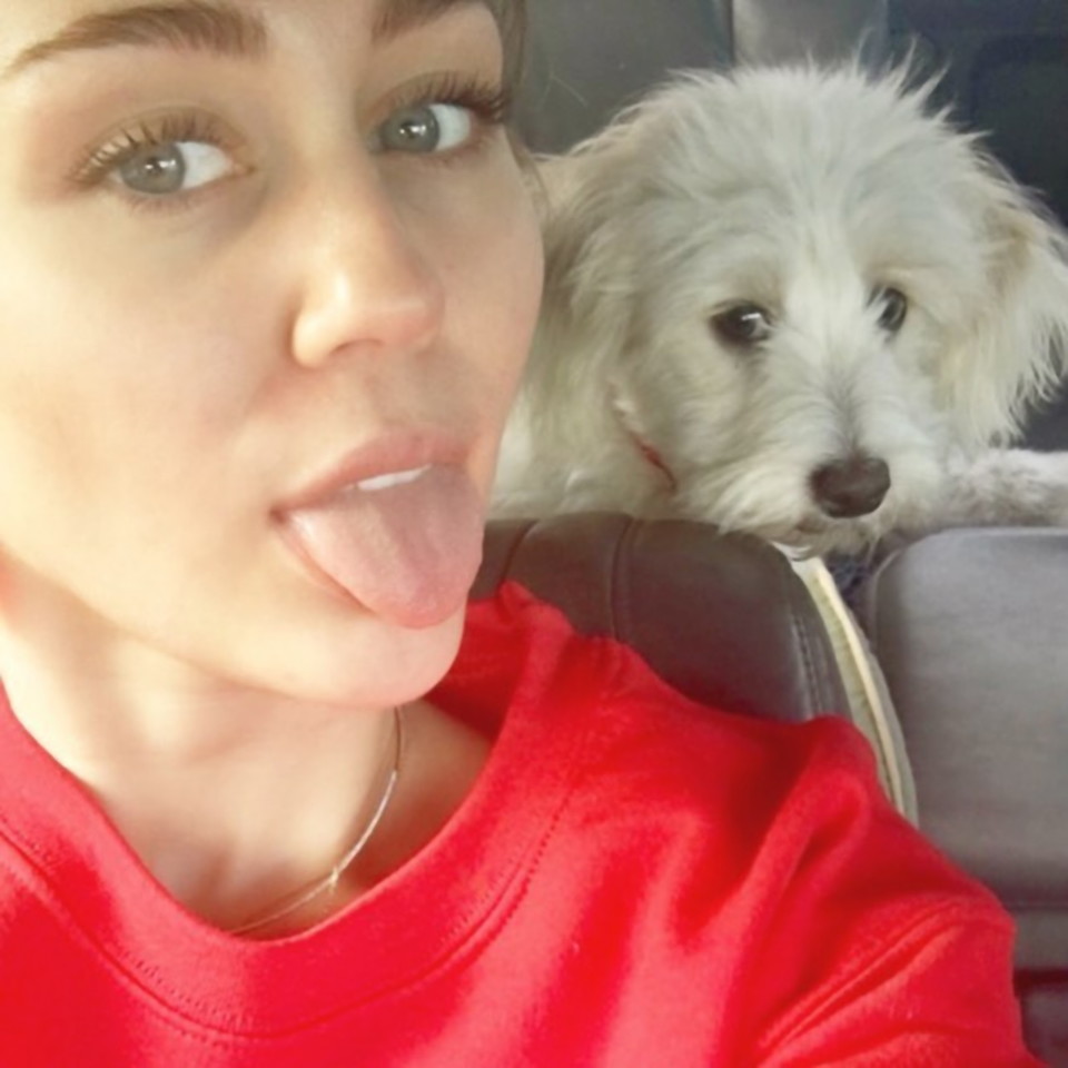  Miley Cyrus. <br>ViDA Press nuotr.
