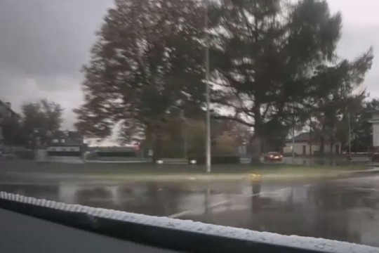 „Saulutes“ paišęs telšiškis metams prarado vairuotojo pažymėjimą