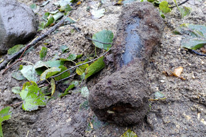Rekonstruojamoje Lukiškių aikštėje archeologas aptiko sprogmenį