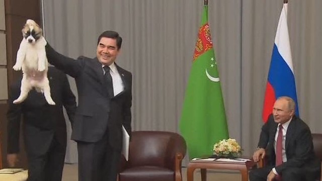 Turkmėnijos lyderis nustebino Vladimirą Putiną padovanodamas jam šuniuką