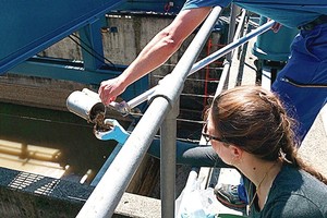  Kanalizacijos sistemose aptikta daug aukso ir sidabro