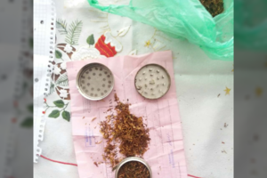 Kinologo šuo profesinės mokyklos bendrabutyje užuodė narkotikus