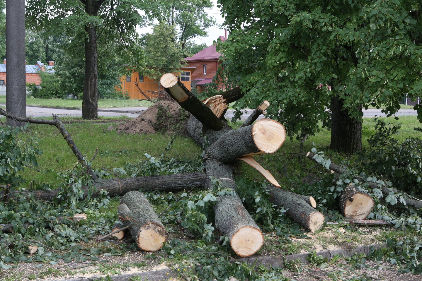 Gelbėtojai perspėja apie stiprų vėją.<br>M.Patašiaus nuotr.