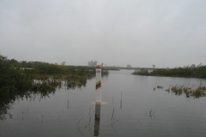 Vakarų Lietuva skęsta potvyniuose, sinoptikų prognozės – baugina