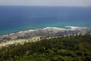 Seišeliuose užfiksuotas maro atvejis, susijęs su Madagaskare kilusiu protrūkiu