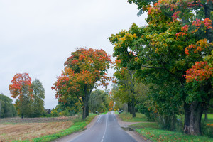 Klimatologas: tokio rugsėjo neturėjome 50 metų, tikroji žiema – po Kalėdų