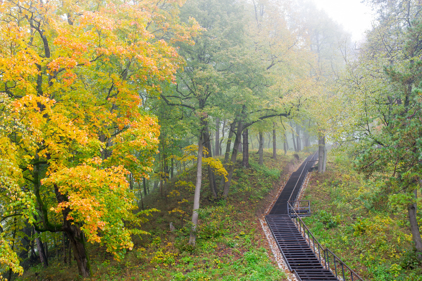 Tokio lietingo rugsėjo kai kuriuose šalies regionuose nebuvo 50 metų, LRT.lt sako Lietuvos hidrometeorologijos tarnybos (LHMT) Klimatologijos skyriaus vedėjas dr. Donatas Valiukas.<br>V.Ščiavinsko nuotr.