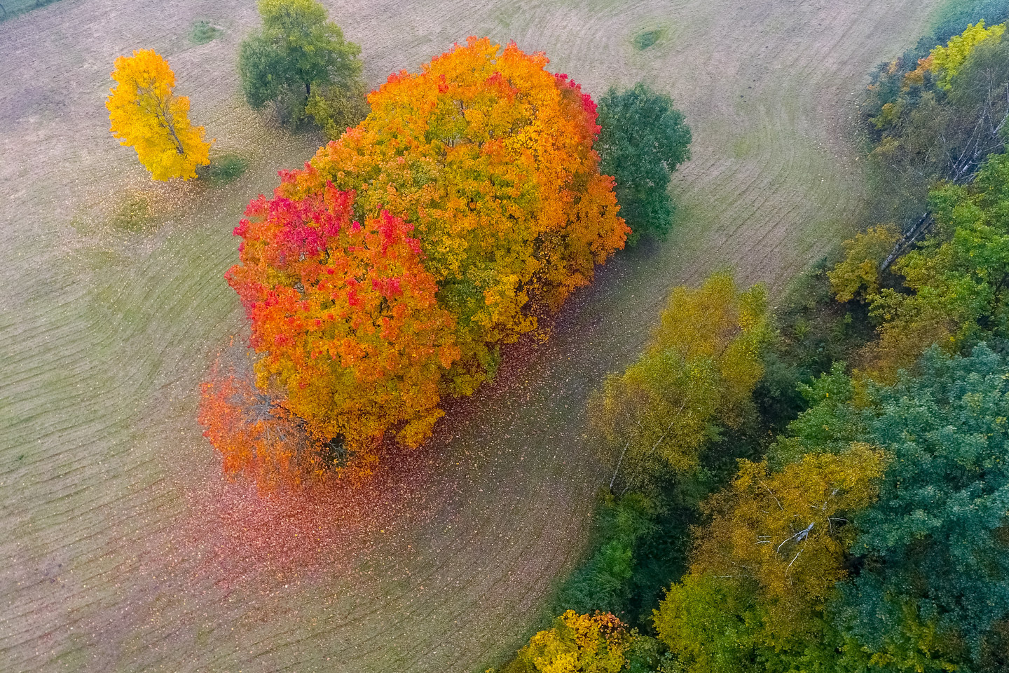 Tokio lietingo rugsėjo kai kuriuose šalies regionuose nebuvo 50 metų, LRT.lt sako Lietuvos hidrometeorologijos tarnybos (LHMT) Klimatologijos skyriaus vedėjas dr. Donatas Valiukas.<br>V.Ščiavinsko nuotr.