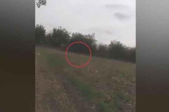 Paniškai šokiruotos mergaitės nufilmavo, kaip jas persekioja mitinė būtybė