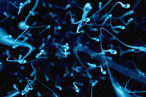 Sužibo nauja viltis nustatyti vyrų nevaisingumo priežastį