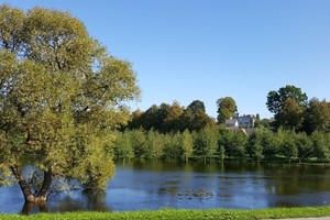 Kokios naudos po liūčių sezono galite išpešti savo darže, sode ir kieme