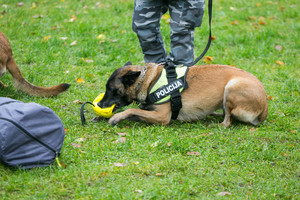Klaipėdietės pareigūnės šuo pademonstravo stebėtinus gabumus