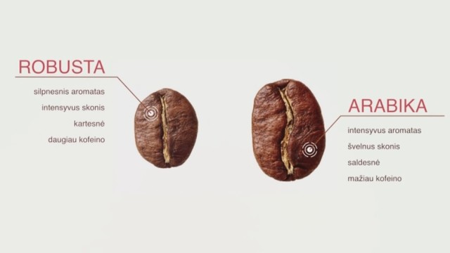 Kavos guru pasakoja, kuo skiriasi kavos pupelių rūšys