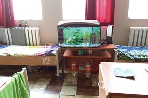 Nebijokite kalėjimo – juk ten galėsite išsidirbinėti