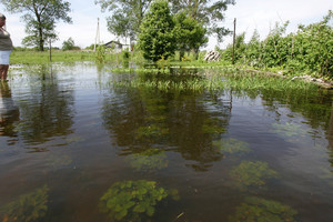 Žemdirbių dėl lietaus patirti nuostoliai galutinai paaiškės tik sausį 