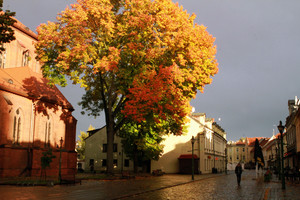 Aukso spalvomis žėrintis Kauno senamiestis abejingų nepalieka