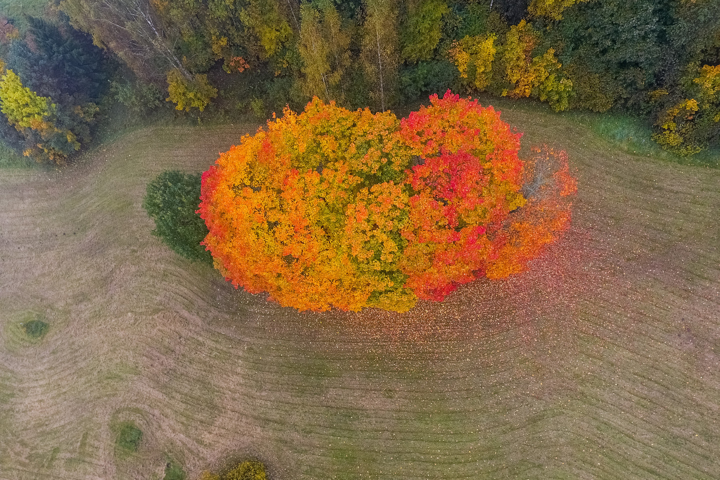 Kitą savaitę laukia puikūs orai.