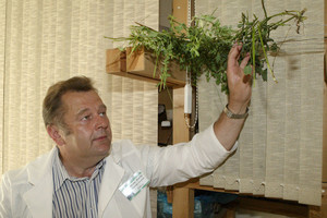  Fitoterapeutas Juozas Ruolia:  „Kvailai gyventi – žmogaus pasirinkimas“